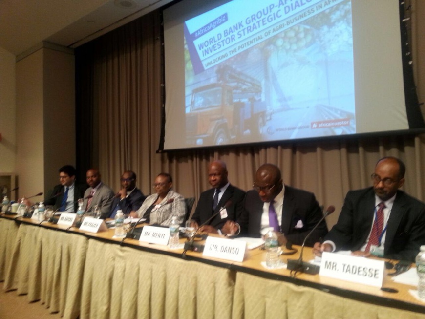 Essimi Menye(3ème de la droite vers la grauche):Un bon joueur ne manque pas d'équipe! Essimi Menye(3ème de la droite vers la grauche):Un bon joueur ne manque pas d'équipe!