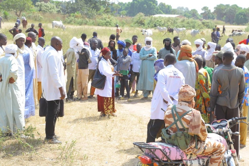 Tchad : Le Mandoul sensibilisé à la vaccination obligatoire du bétail Tchad : Le Mandoul sensibilisé à la vaccination obligatoire du bétail