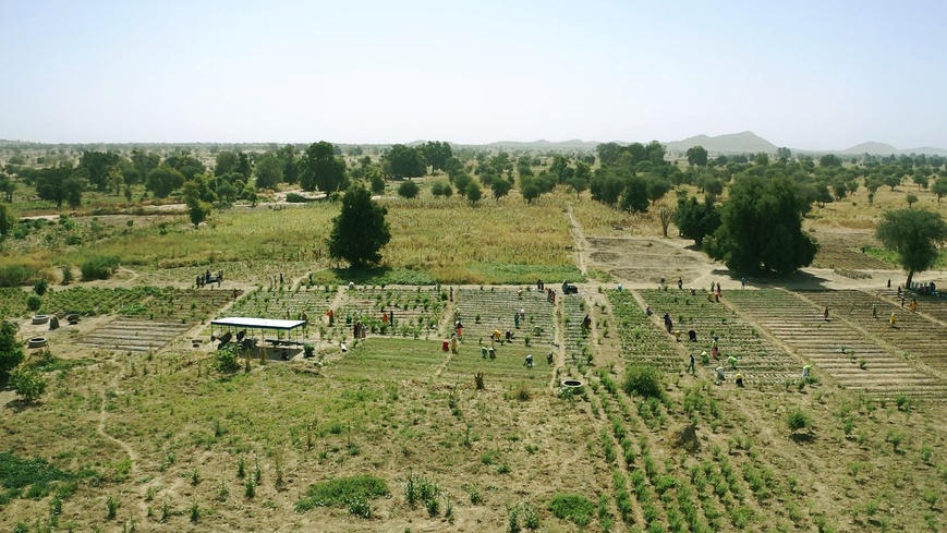 Images et Info : Asma Achahboun - WFP Chad