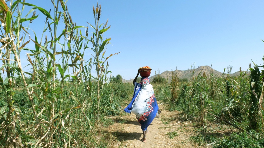 Tchad : Bilan positif pour le projet de résilience soutenu par la Corée