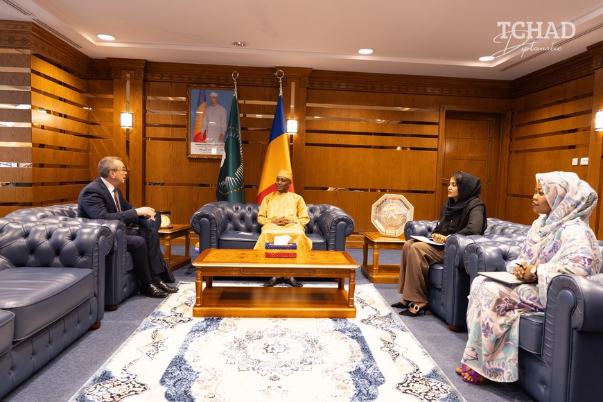Tchad : l'ambassadeur de France reçu par le ministre des Affaires étrangères