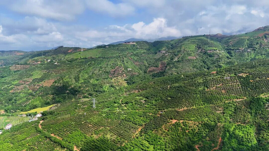 Photo shows mango orchards in Yuanjiang Hani, Yi and Dai autonomous county, southwest China's Yunnan province. (Photo/Hu Zunhui)