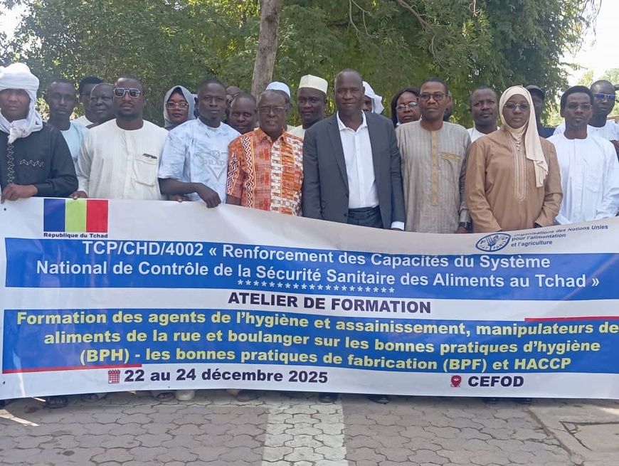 Tchad : la FAO et le ministère de la Santé renforcent la sécurité sanitaire des aliments Tchad : la FAO et le ministère de la Santé renforcent la sécurité sanitaire des aliments