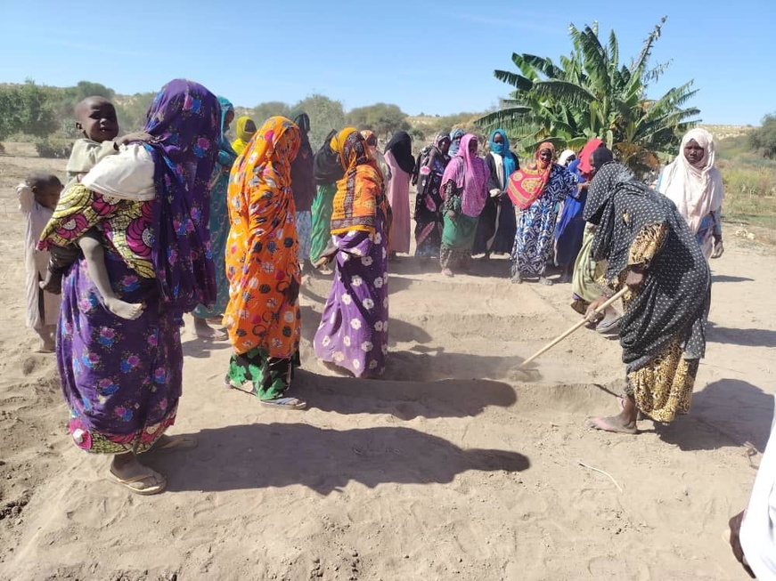 Tchad : l’ANADER renforce les capacités des producteurs à N’Tiona Tchad : l’ANADER renforce les capacités des producteurs à N’Tiona