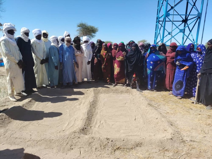 Tchad : formation agricole au Barh El Gazel, ANADER et P2RS boostent la résilience des producteurs Tchad : formation agricole au Barh El Gazel, ANADER et P2RS boostent la résilience des producteurs