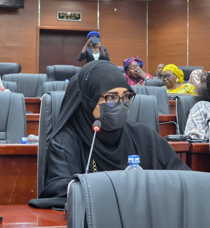 Énergie au Tchad : les sénateurs interpellent le gouvernement sur les coupures d’électricité Énergie au Tchad : les sénateurs interpellent le gouvernement sur les coupures d’électricité