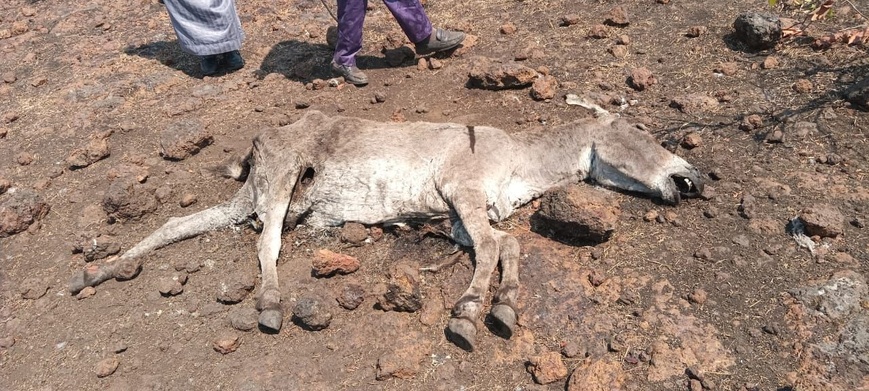 Info et Images : Cameroon Tribune Info et Images : Cameroon Tribune