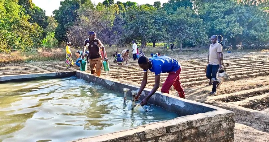 Moyen-Chari : Du savoir au faire, le projet RENFORT propulse les jeunes vers l'agrobusiness Moyen-Chari : Du savoir au faire, le projet RENFORT propulse les jeunes vers l'agrobusiness
