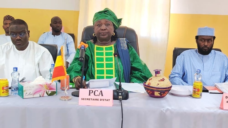 Tchad : le conseil d'administration de l'UNABA se penche sur les orientations stratégiques Tchad : le conseil d'administration de l'UNABA se penche sur les orientations stratégiques
