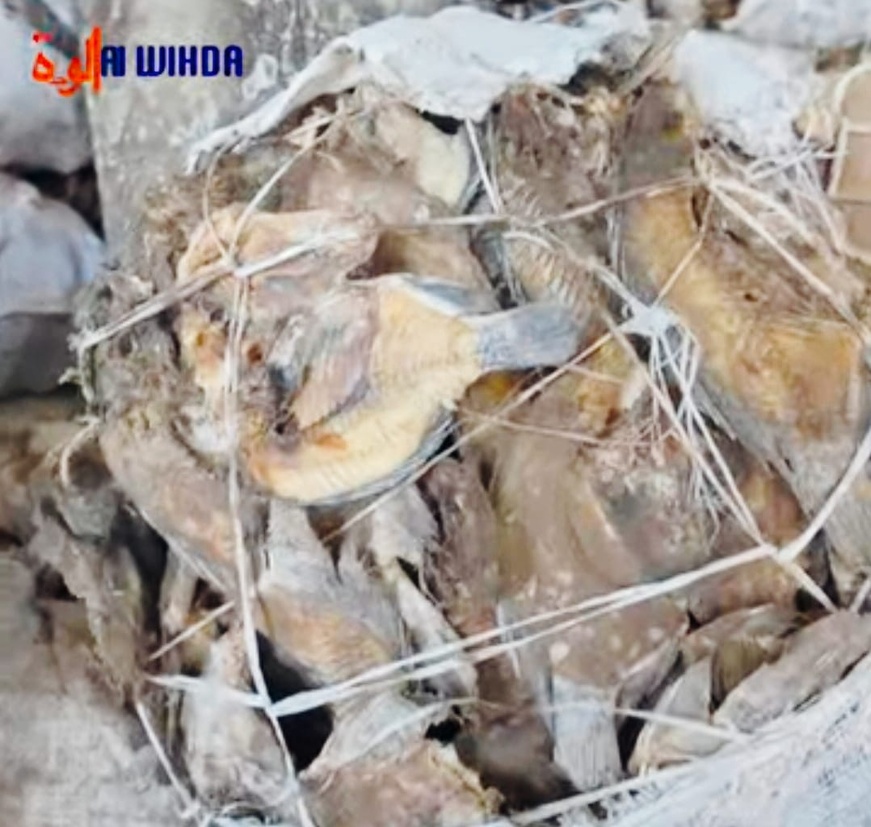 Tchad : le marché de Taradona, un levier économique d'exportation du poisson tchadien
