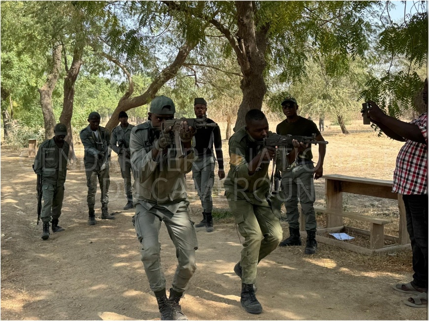 Cameroun - Sécurité : Montée en puissance de la Gendarmerie dans le Logone-et-Chari