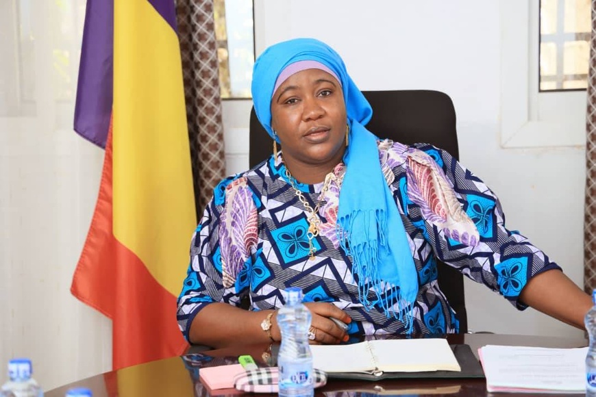 Tchad : la HAMA adopte son Plan stratégique triennal 2026-2028 Tchad : la HAMA adopte son Plan stratégique triennal 2026-2028