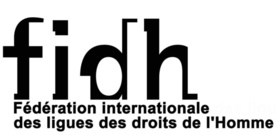 Opération sécuritaire dans le Pool : Le tandem FIDH-OCDH dans les flots écumeux des mensonges Opération sécuritaire dans le Pool : Le tandem FIDH-OCDH dans les flots écumeux des mensonges