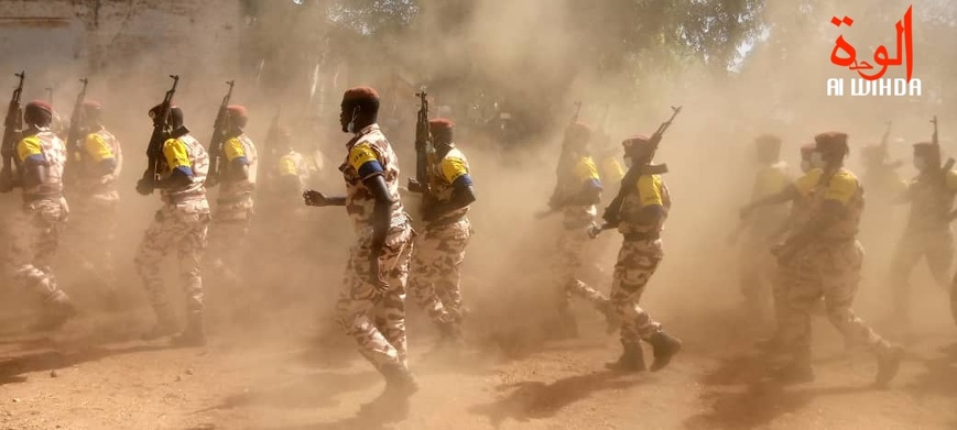 Tchad : deux officiers radiés des effectifs des armées
