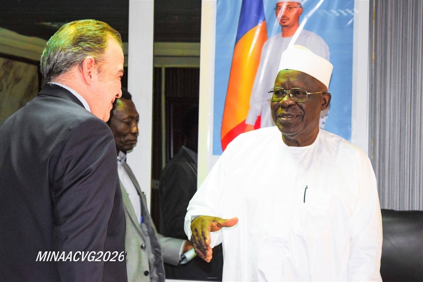 Tchad : le ministre des Armées reçoit plusieurs délégations en audience officielle