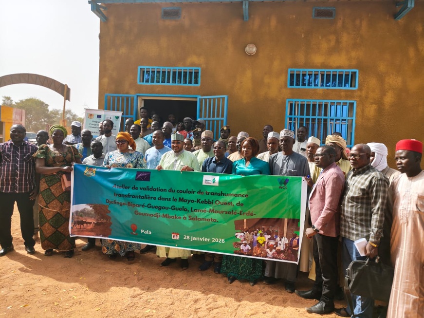 Tchad : des couloirs de transhumance pour prévenir les conflits agro-pastoraux au Mayo-Kebbi Ouest Tchad : des couloirs de transhumance pour prévenir les conflits agro-pastoraux au Mayo-Kebbi Ouest
