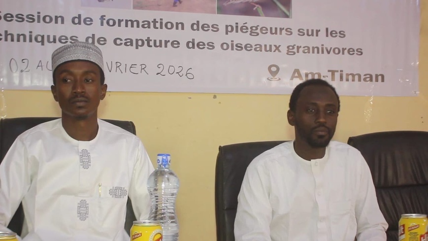 Tchad : 30 agriculteurs formés pour protéger le berbéré
