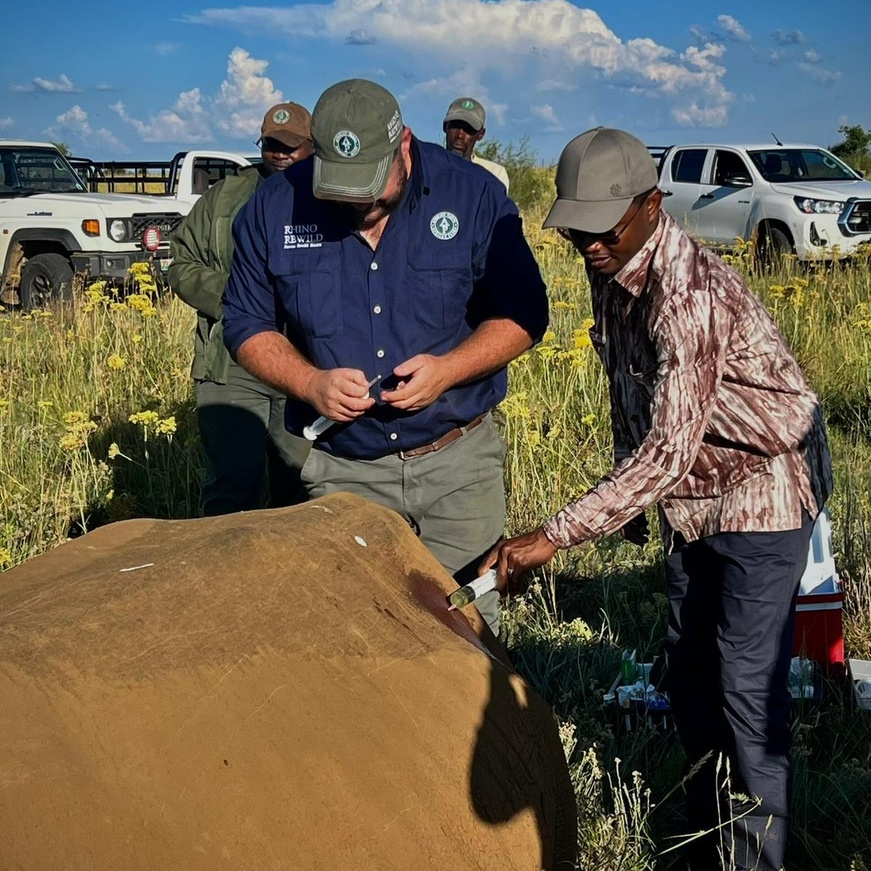 Conservation et Développement : Le Tchad et African Parks renforcent leur alliance Conservation et Développement : Le Tchad et African Parks renforcent leur alliance