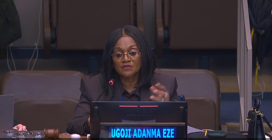 Modérateur de l'événement parallèle, Dr Ugoji Adanma Eze, président du Comité des droits de l'homme de l'Association du barreau africain et membre de la City Bar Association, le Comité des Nations Unies. Photo : Photo ONU Modérateur de l'événement parallèle, Dr Ugoji Adanma Eze, président du Comité des droits de l'homme de l'Association du barreau africain et membre de la City Bar Association, le Comité des Nations Unies. Photo : Photo ONU