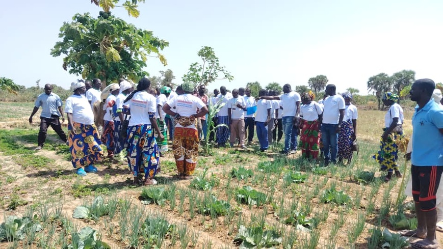 Tchad : les agripreneurs en visite d’échange à Kélo pour renforcer leurs compétences Tchad : les agripreneurs en visite d’échange à Kélo pour renforcer leurs compétences