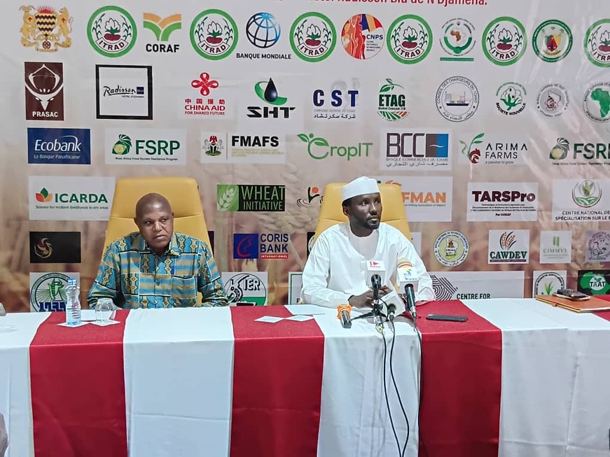 إنجامينا تستعد لاحتضان المؤتمر الإقليمي الثالث حول القمح في غرب ووسط إفريقيا