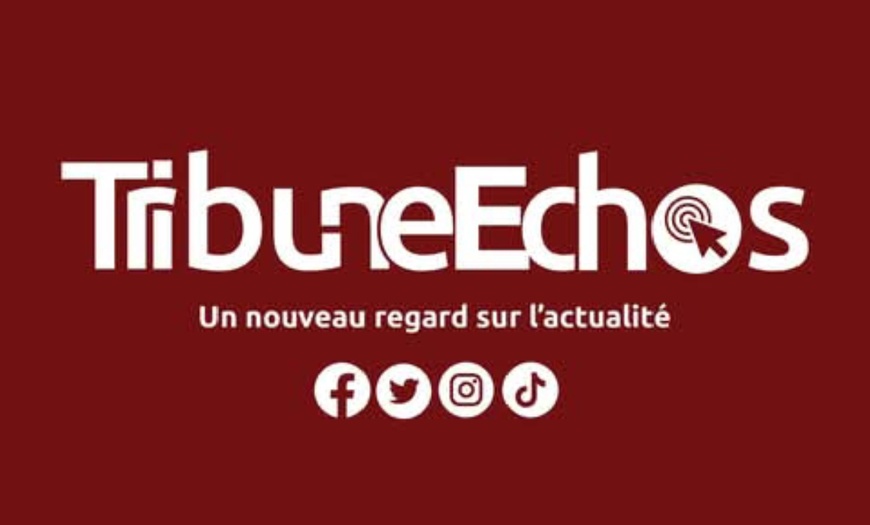 Tchad : La direction de Tribune Échos inculpée suite à une plainte de l’hôpital de la Renaissance