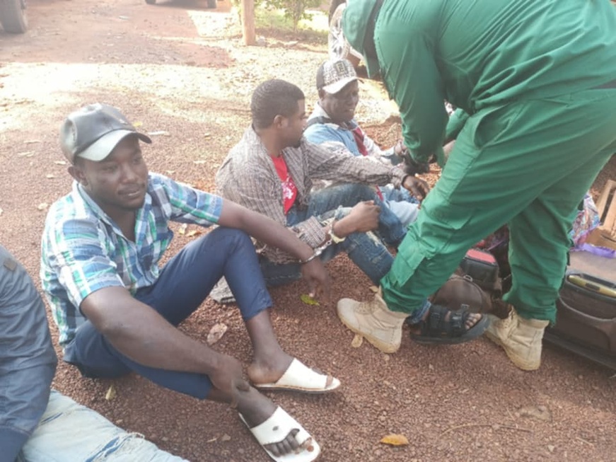 Arrêtés pour trafic de perroquets, ils risquent jusqu’à 20 ans de prison.