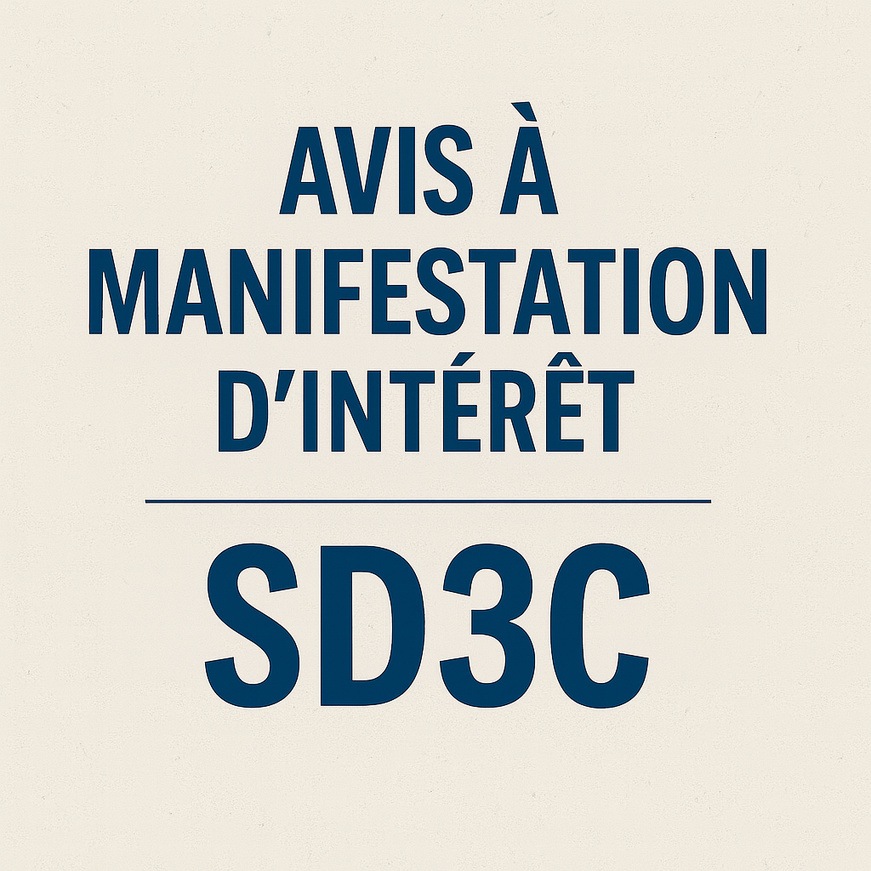 Tchad : Recrutement d'un Auditeur Interne dans le cadre du Programme SD3C Tchad : Recrutement d'un Auditeur Interne dans le cadre du Programme SD3C