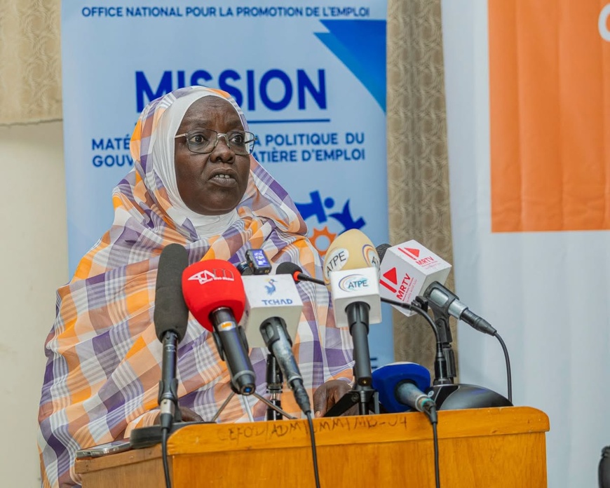 Tchad : l'ONAPE lance la formation de 50 jeunes aux métiers du numérique Tchad : l'ONAPE lance la formation de 50 jeunes aux métiers du numérique