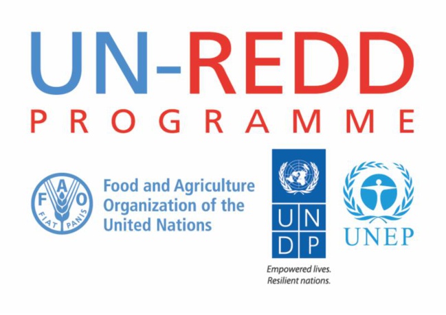 UN-REDD Programme launches upgraded website to reflect 2016-2020 strategic framework and post-Paris Climate Agreement environment UN-REDD Programme launches upgraded website to reflect 2016-2020 strategic framework and post-Paris Climate Agreement environment
