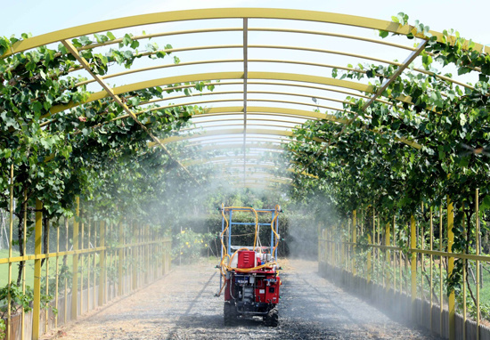 Climate change is both a burden and an opportunity for economic change