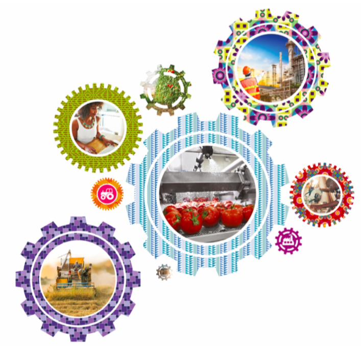 Tchad : Amplifier les réformes structurelles pour préserver la stabilité macroéconomique en 2017