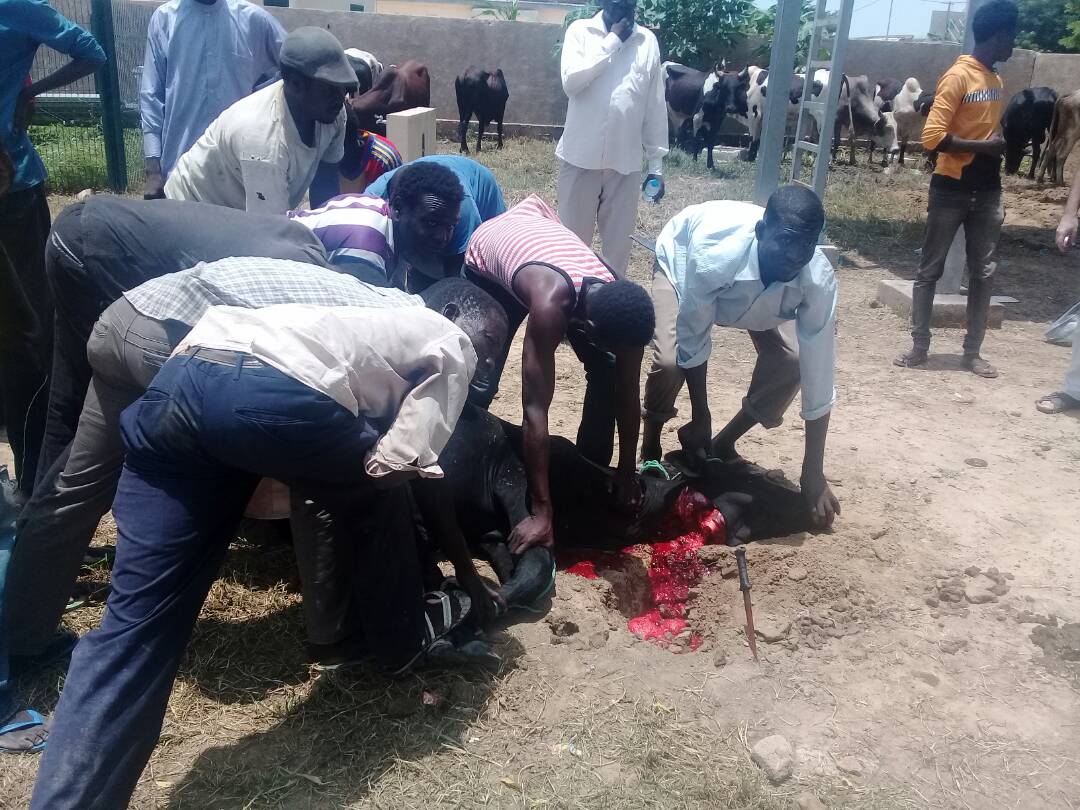 L'association Itimad s'est portée à la rescousse des personnes nécessiteuses. Alwihda Info