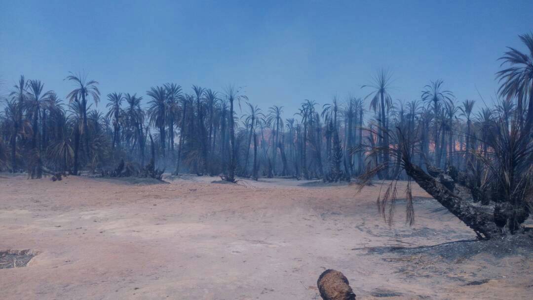 Tchad : L'Association Nima Tomba appelle a l'aide pour secourir la population sinistrée de Gouro