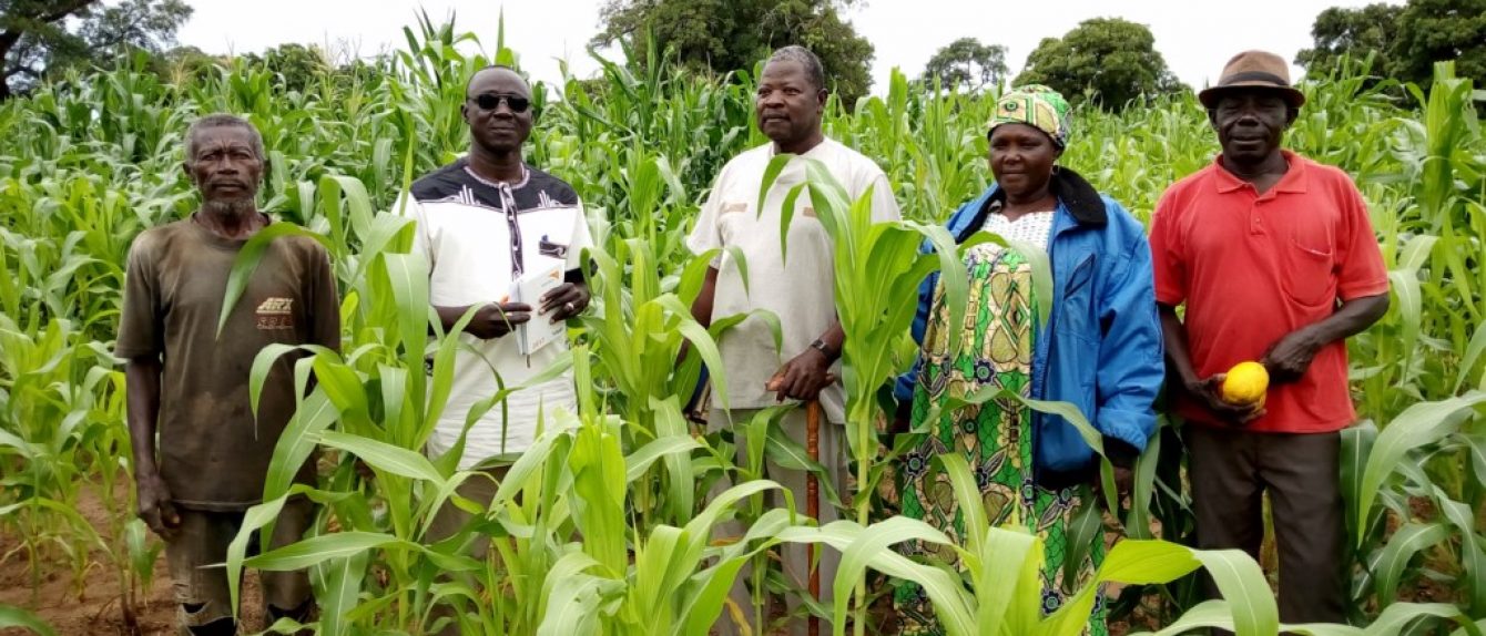 © RAPS - Développement.