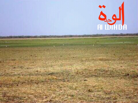 La plaine de Gara. Alwihda Info/M.A.