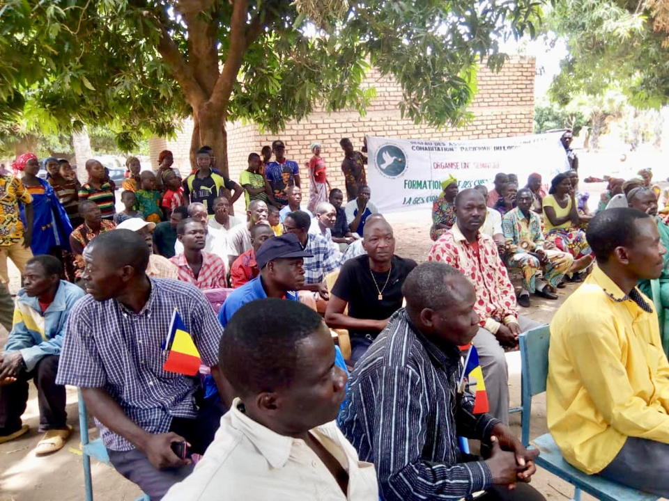 Tchad : renforcement de la cohabitation pacifique entre éleveurs et agriculteurs