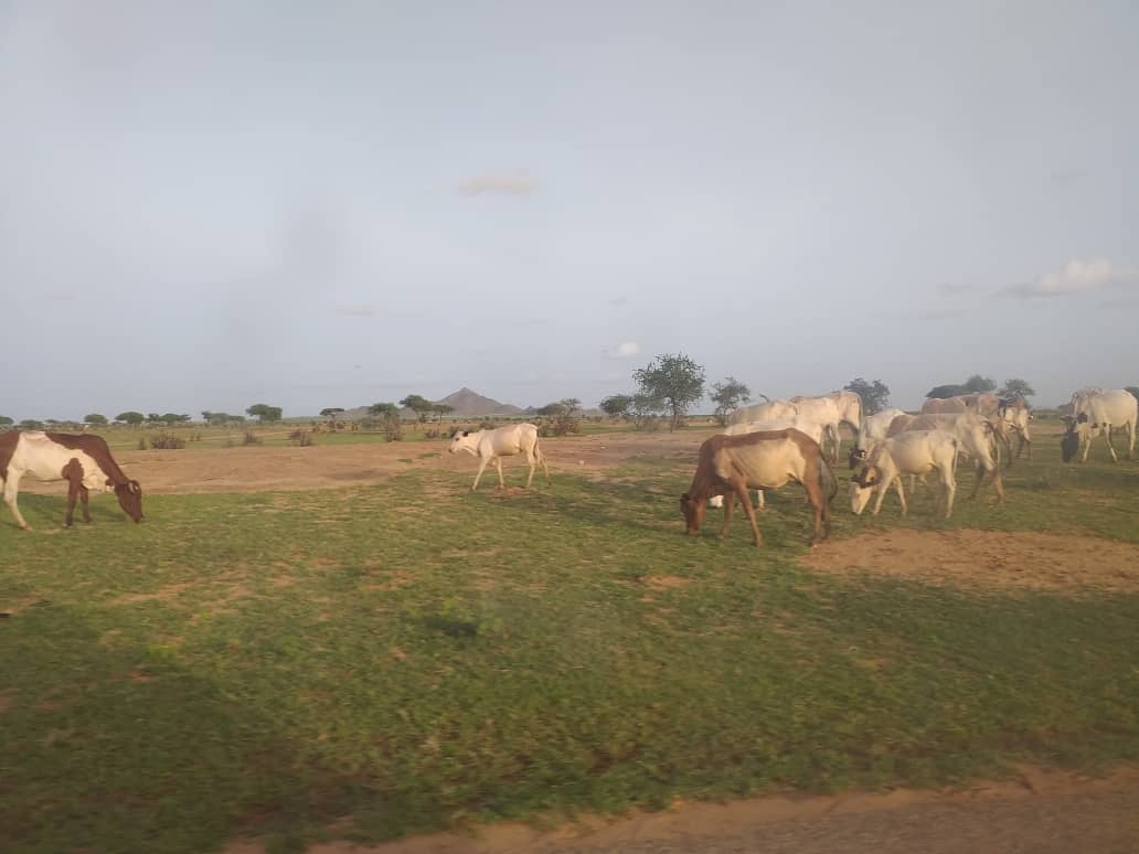 Une mission conduite par Yacoub Saleh Ourada s'est rendue dimanche 11 août 2019 à Amdoud, un village de la sous-préfecture d'Abéché rurale situé à 50 km de la ville. © Alwihda Info