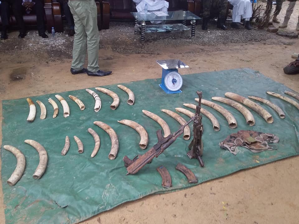 Tchad : un commandant se déguise en client pour arrêter des braconniers. © DR/Ministère EEP