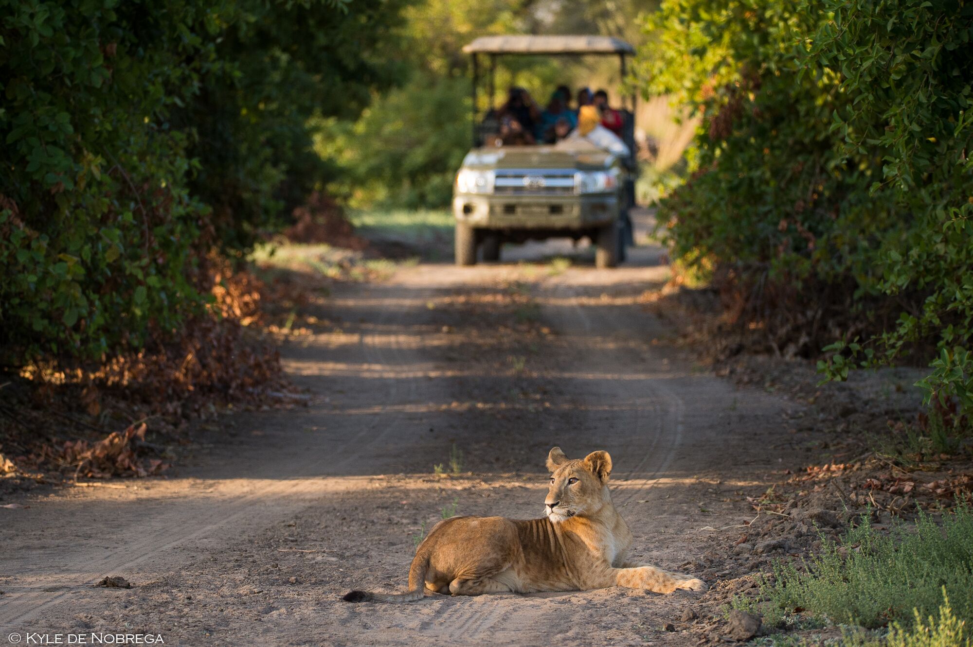 Le parc de Zakouma au Tchad. © Kyle de Nobrega