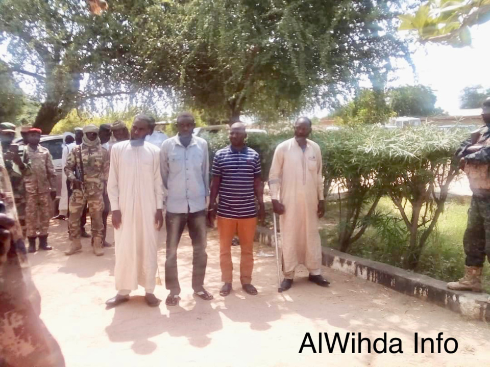 Tchad : des falsificateurs de papiers automobiles interpellés