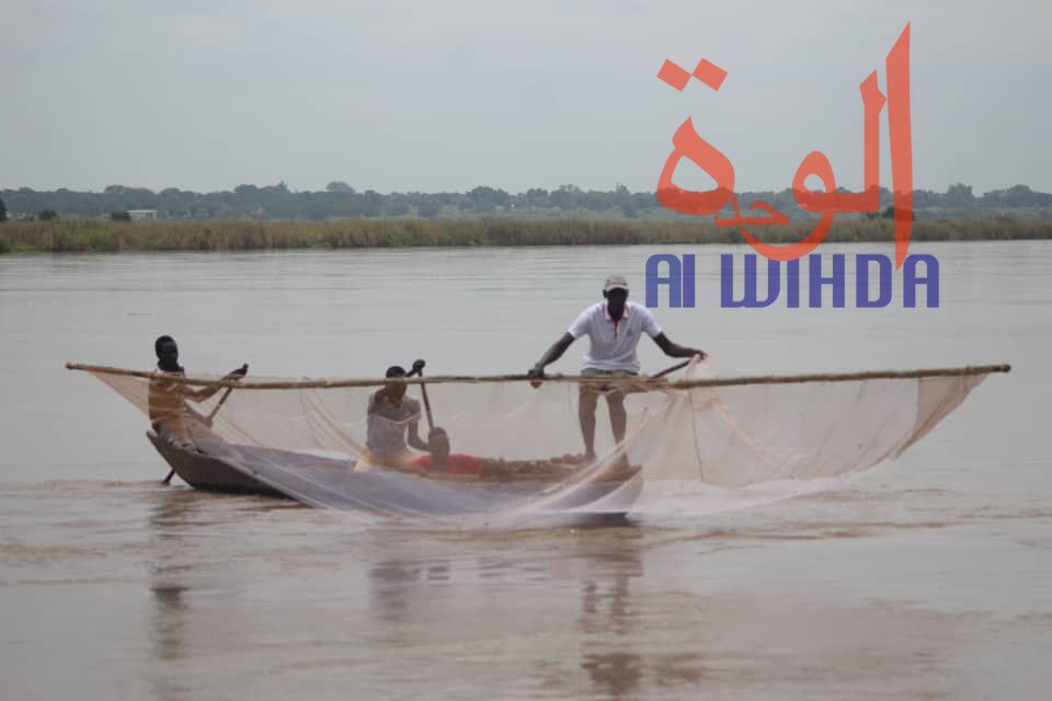 Tchad : une course de pirogues organisée à Moundou