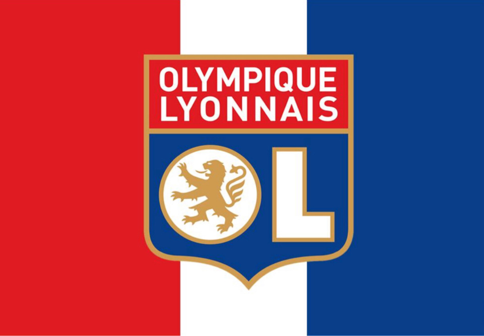 Les particularités de France football au niveau du club et au niveau national