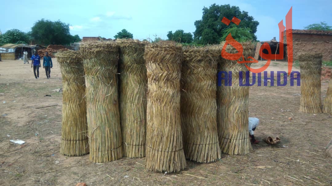 Tchad : au Sila, le commerce permet aux jeunes de se prendre en charge. © Alwihda Info