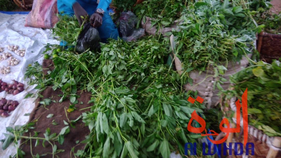 Tchad : à Goz Beida, le marché du dimanche prospère malgré l'état d'urgence. © Alwihda Info