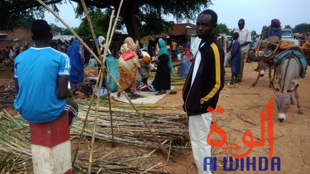 Tchad : à Goz Beida, le marché du dimanche prospère malgré l'état d'urgence. © Alwihda Info