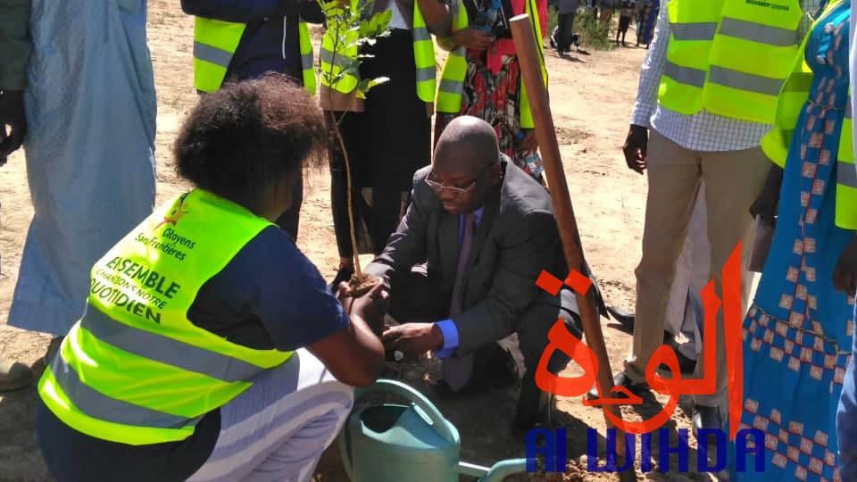 Tchad : contre la désertification, 6 hectares mis à disposition de Citoyens sans frontières