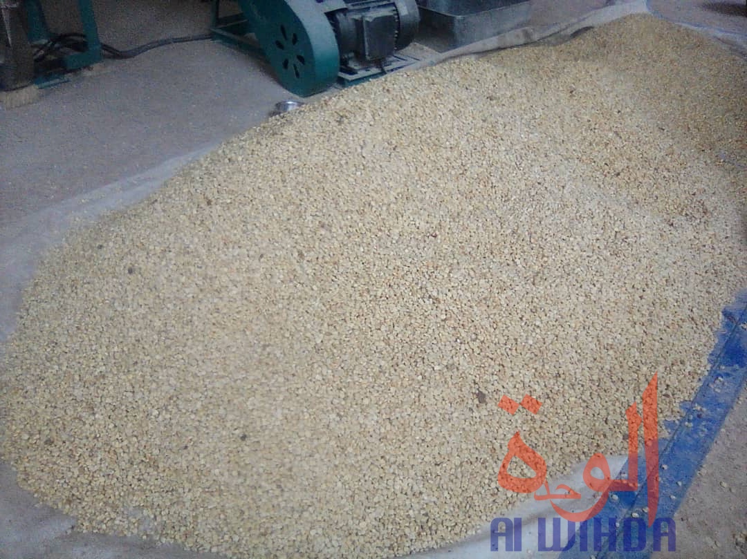 Tchad : à Moundou, trois amis lancent une usine de transformation de maïs. © Alwihda Info