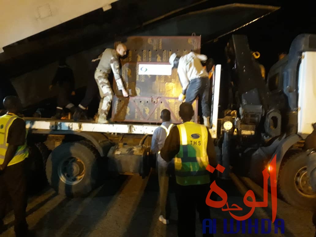 Tchad : des addax et une deuxième vague d'oryx acheminés à l'Est. © Alwihda Info