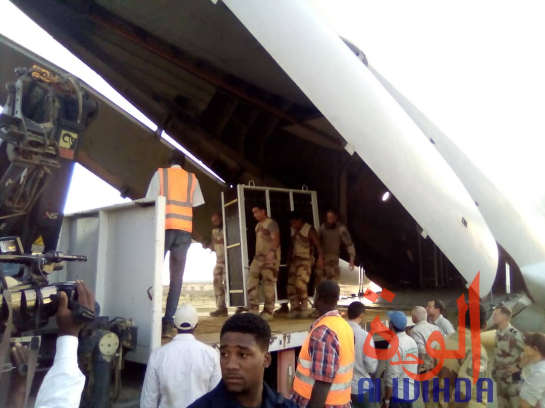 Tchad : un avion cargo transportant des oryx et addax se pose à l'aéroport d'Abéché. © Alwihda Info